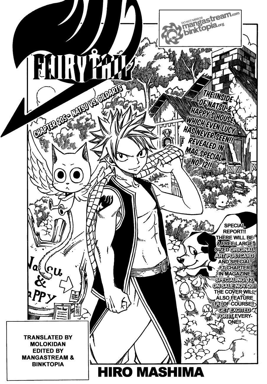 Fairy Tail Chapter 205 1